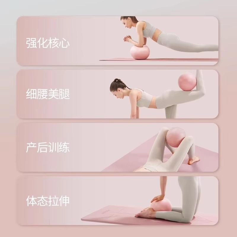 Women Gym Yoga Fitness Ball Th - Pilates Toning Ball 评论和价格